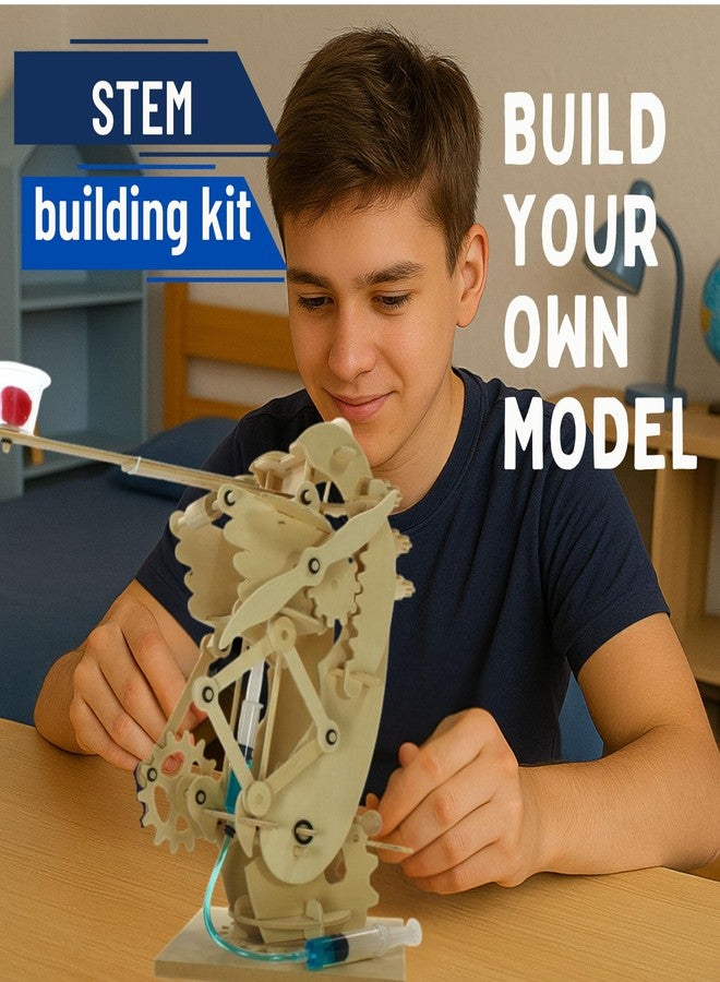 Pathfinders STEM Kits- Hydraulic Gearbot - Wooden STEM Building Catapult | Build-It-Yourself Hydraulic Robot with Gears & Launcher | Educational Engineering Toy & Gift Teens and Adults - Image 3